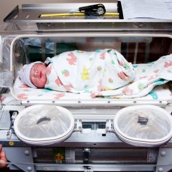 Cute sick newborn premature neonatal baby swaddled in bunny blanket placed in incubator chamber in hospital.